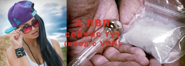 мдпв Володарск