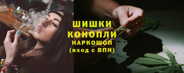 мдпв Володарск